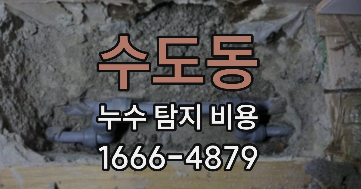 수도동 누수 탐지 비용