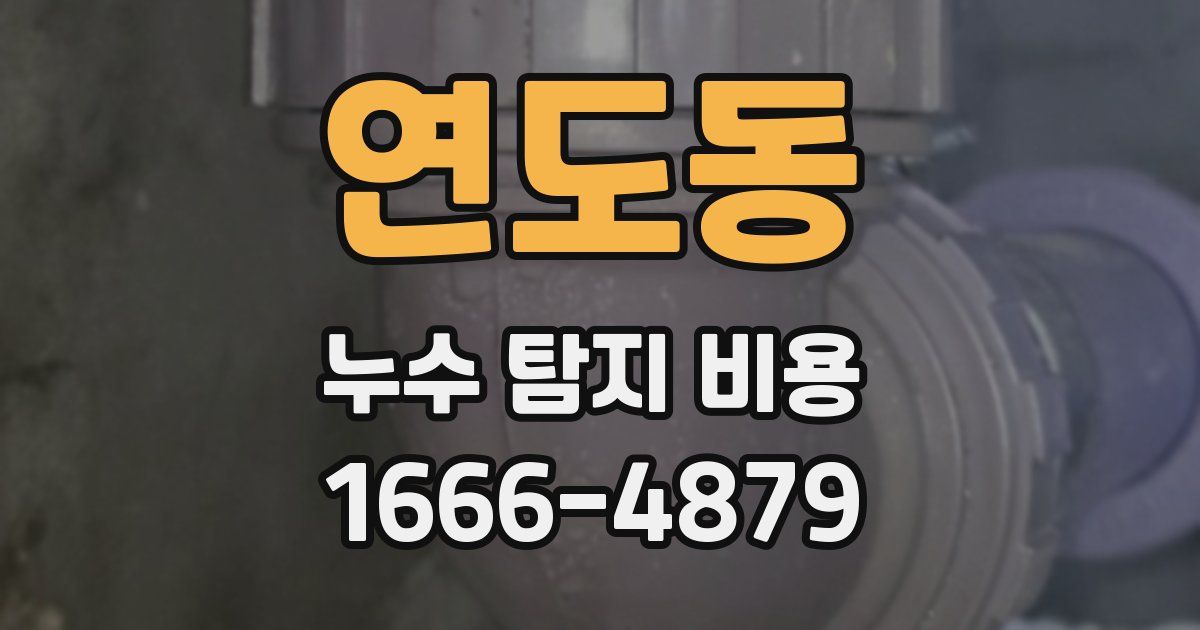 연도동 누수 탐지 비용