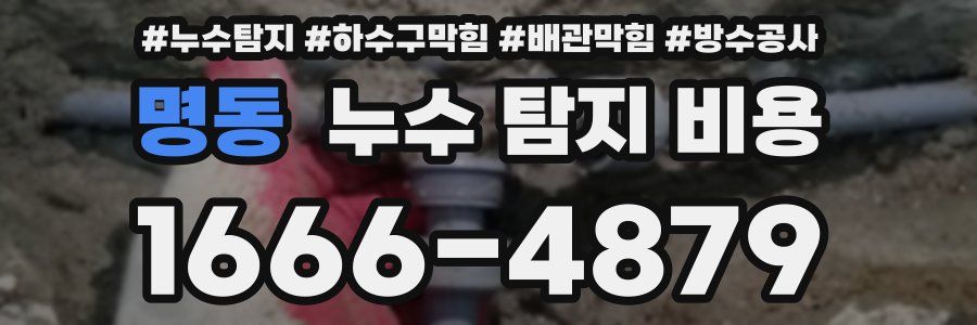 명동 누수 탐지 비용