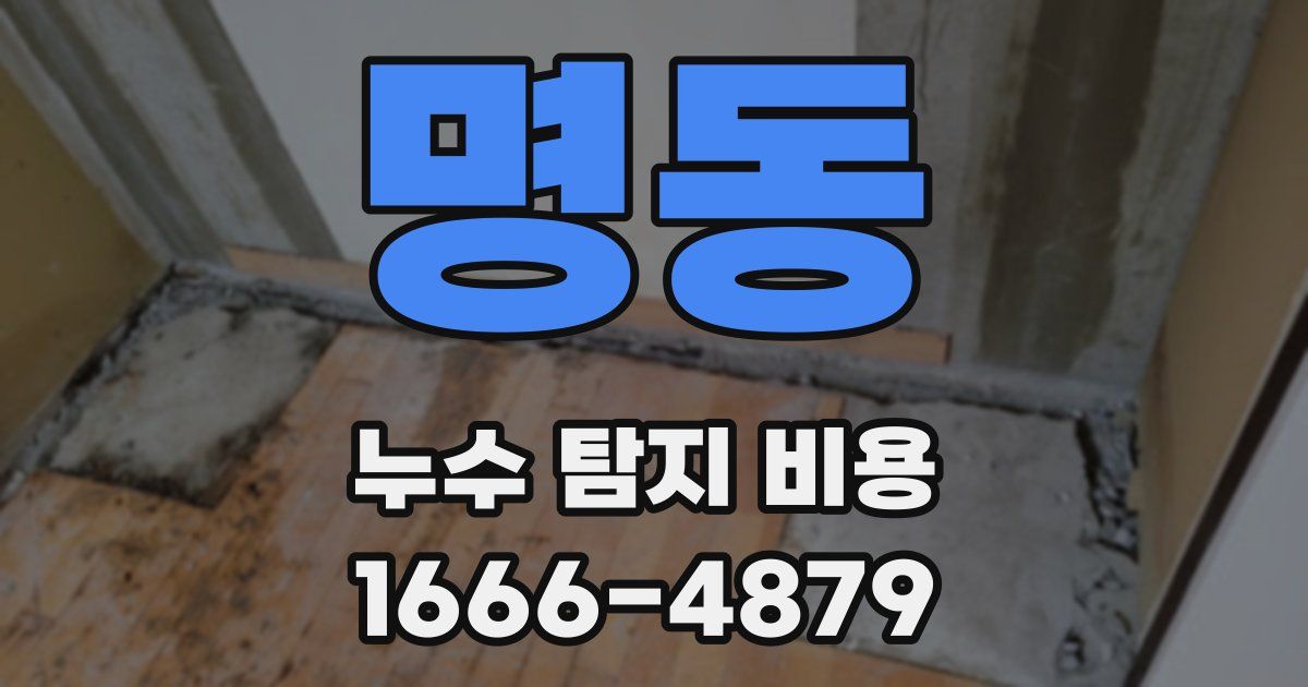 명동 누수 탐지 비용