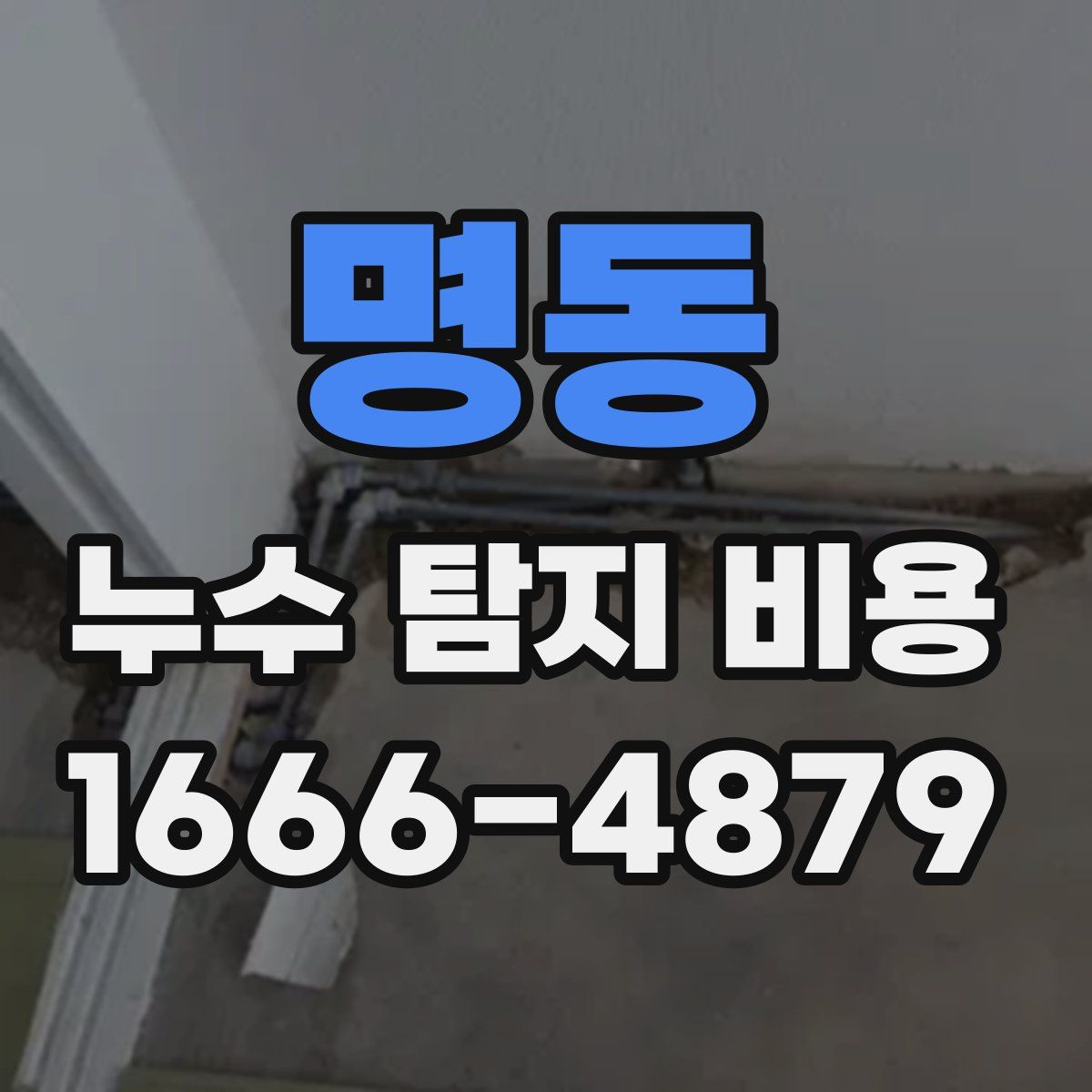 명동 누수 탐지 비용