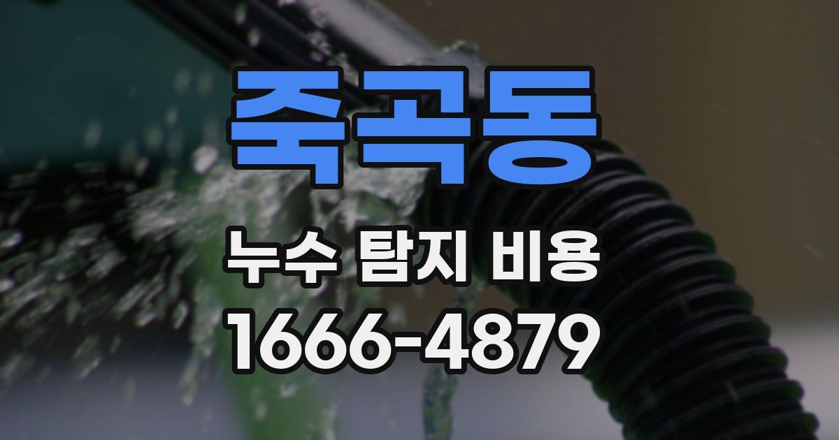 죽곡동 누수 탐지 비용