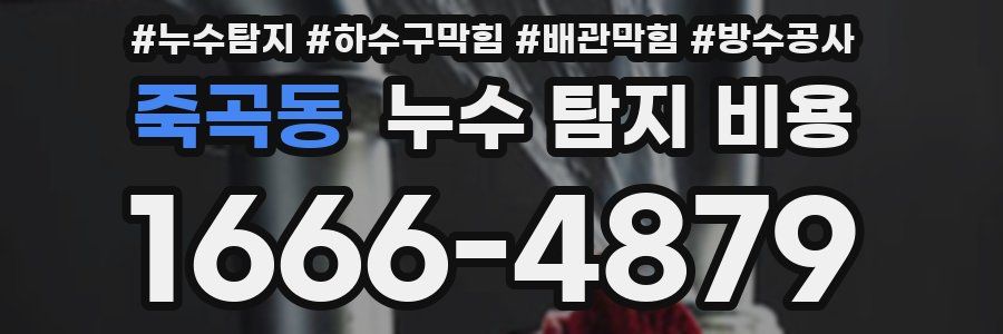 죽곡동 누수 탐지 비용