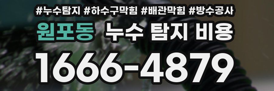 원포동 누수 탐지 비용