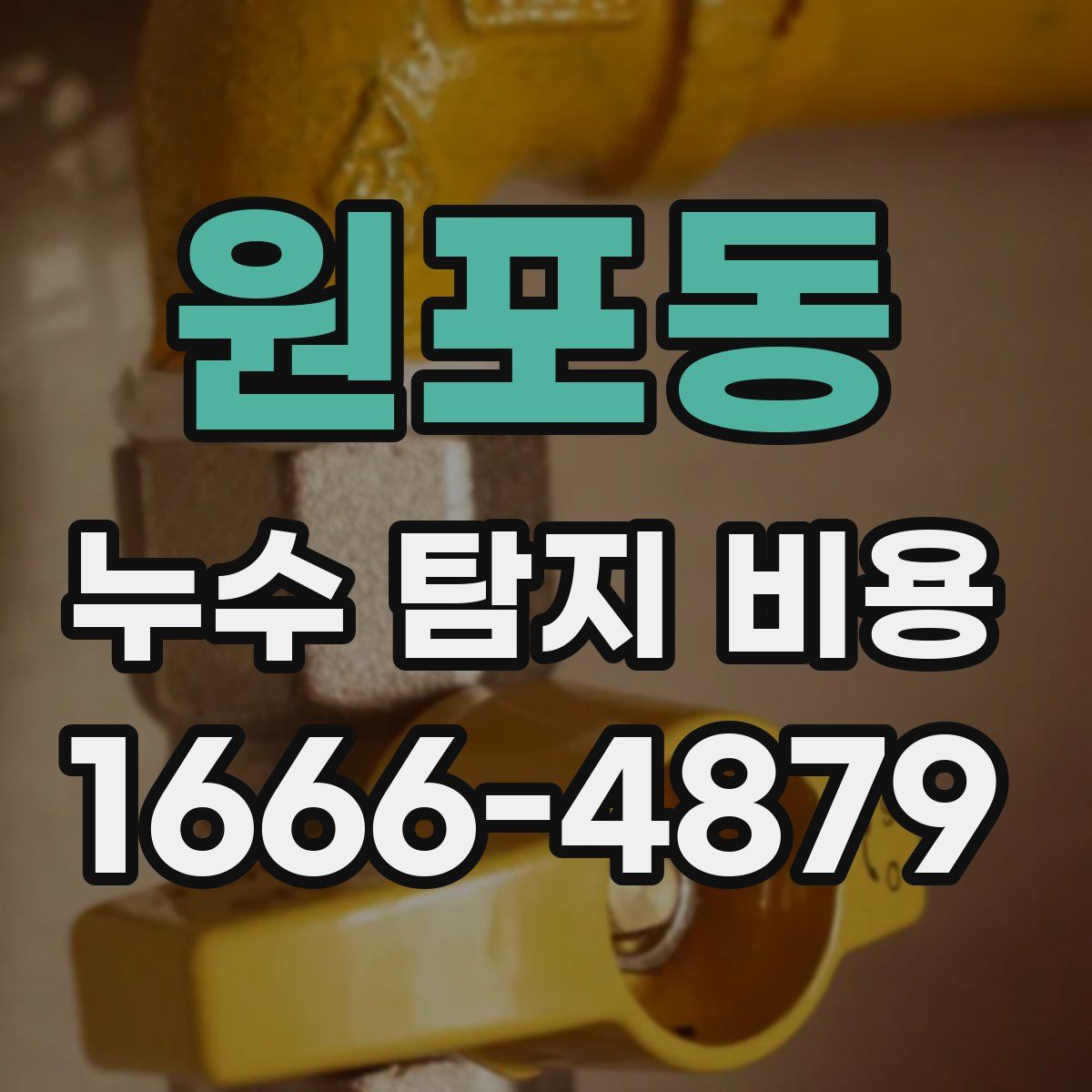 원포동 누수 탐지 비용