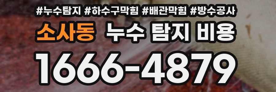 소사동 누수 탐지 비용
