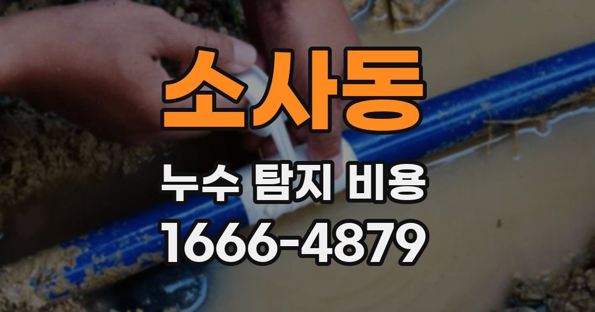 소사동 누수 탐지 비용