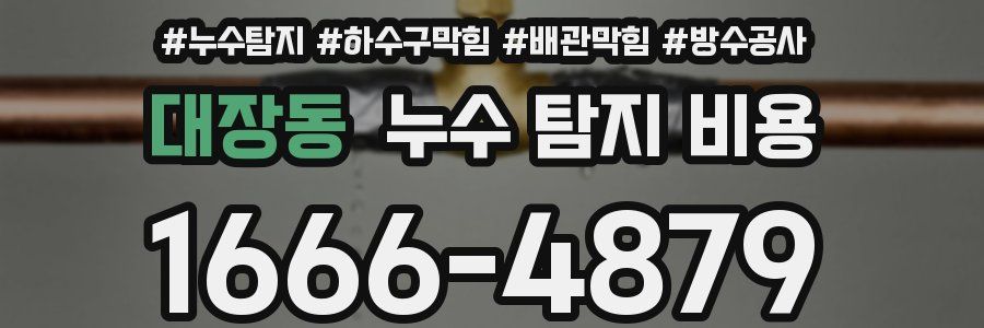 대장동 누수 탐지 비용