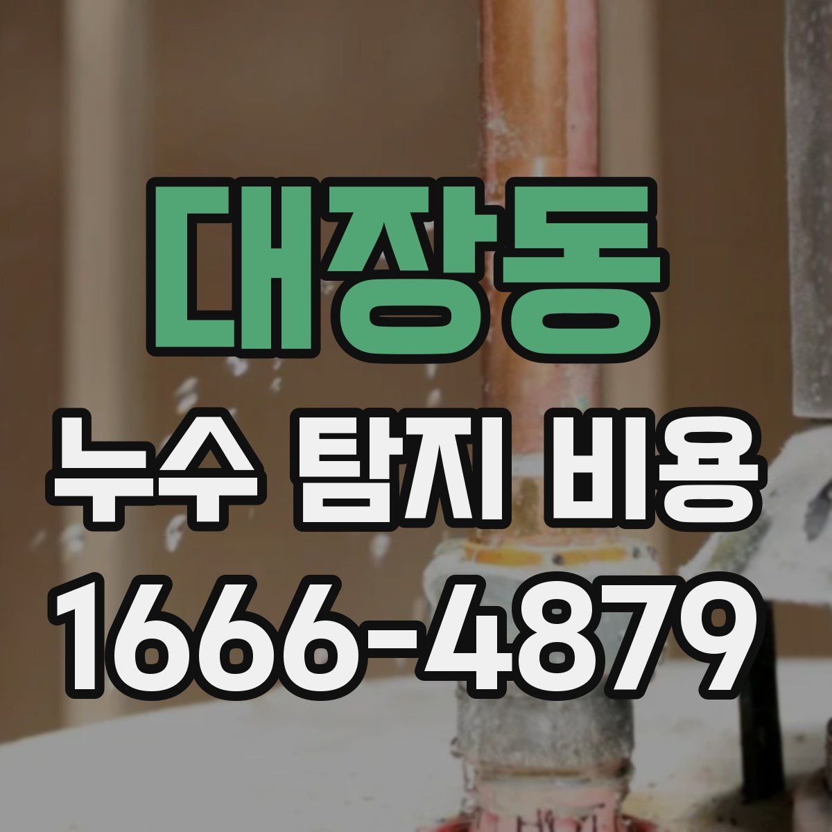 대장동 누수 탐지 비용