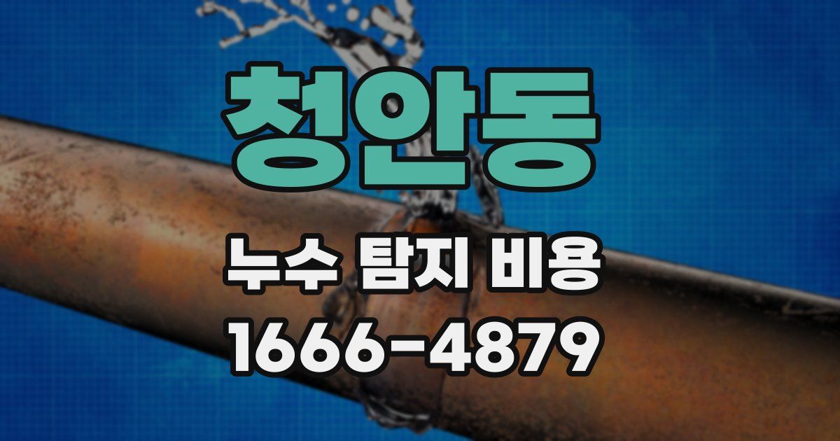 청안동 누수 탐지 비용