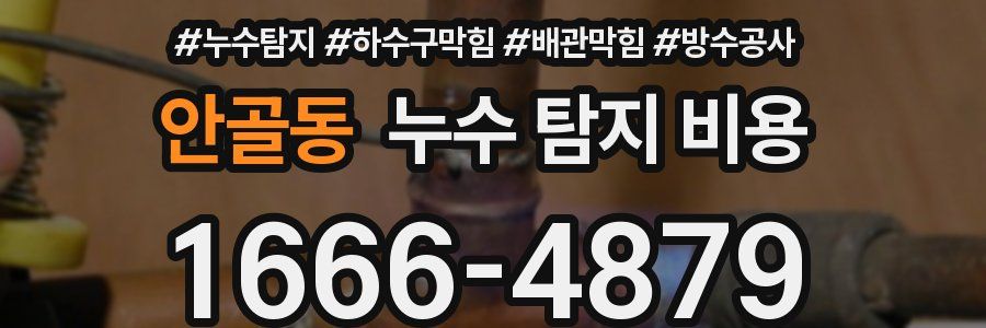 안골동 누수 탐지 비용