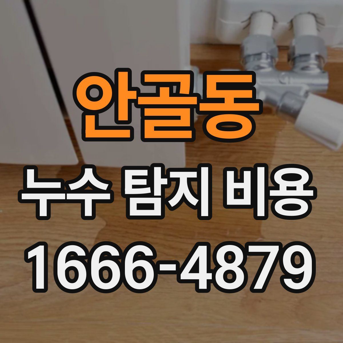 안골동 누수 탐지 비용