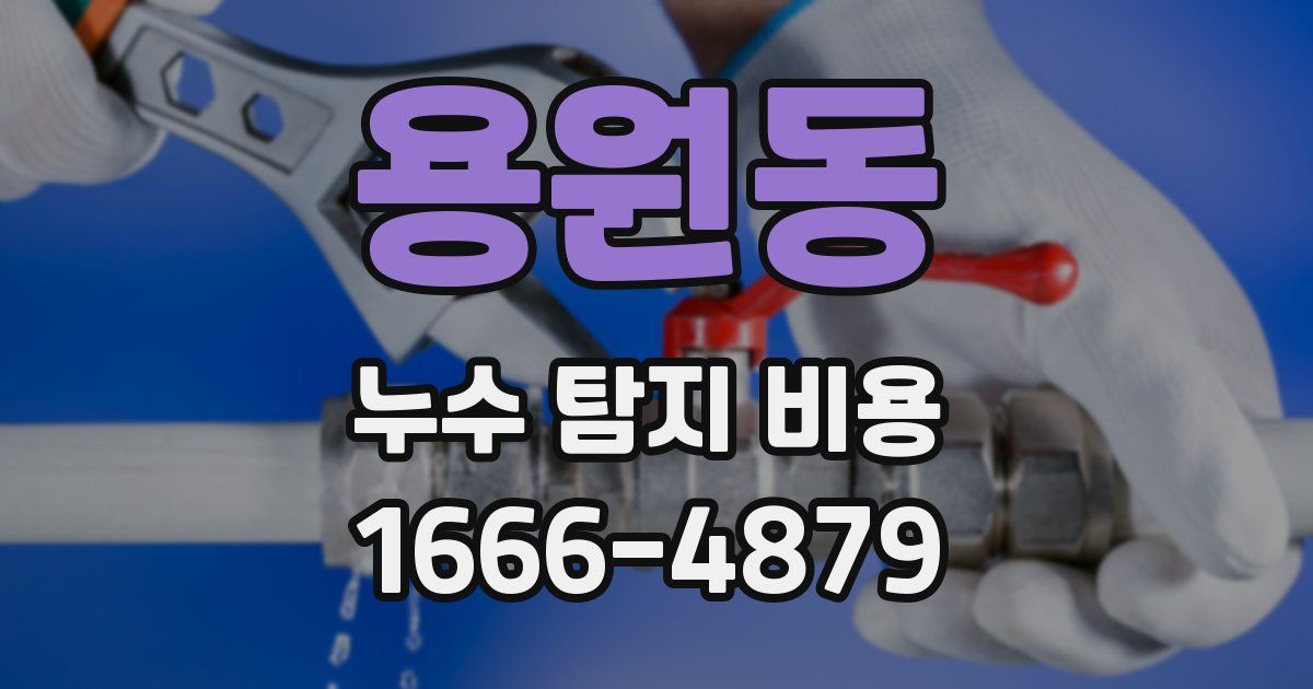 용원동 누수 탐지 비용