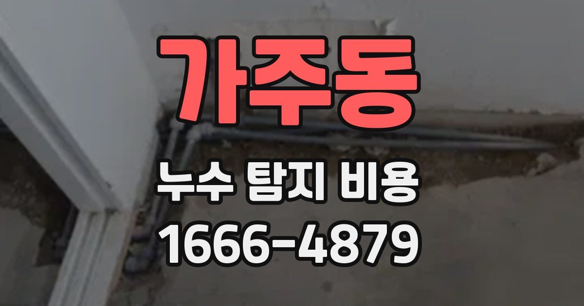가주동 누수 탐지 비용