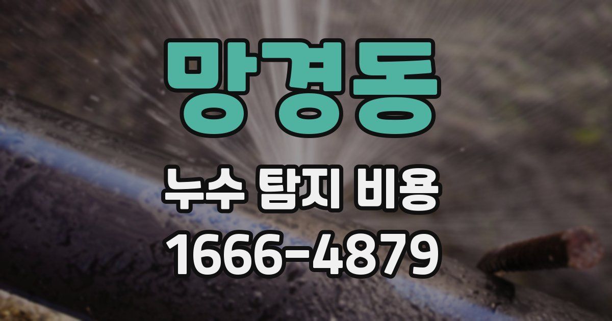 망경동 누수 탐지 비용