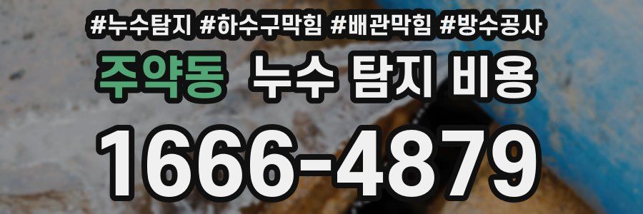 주약동 누수 탐지 비용