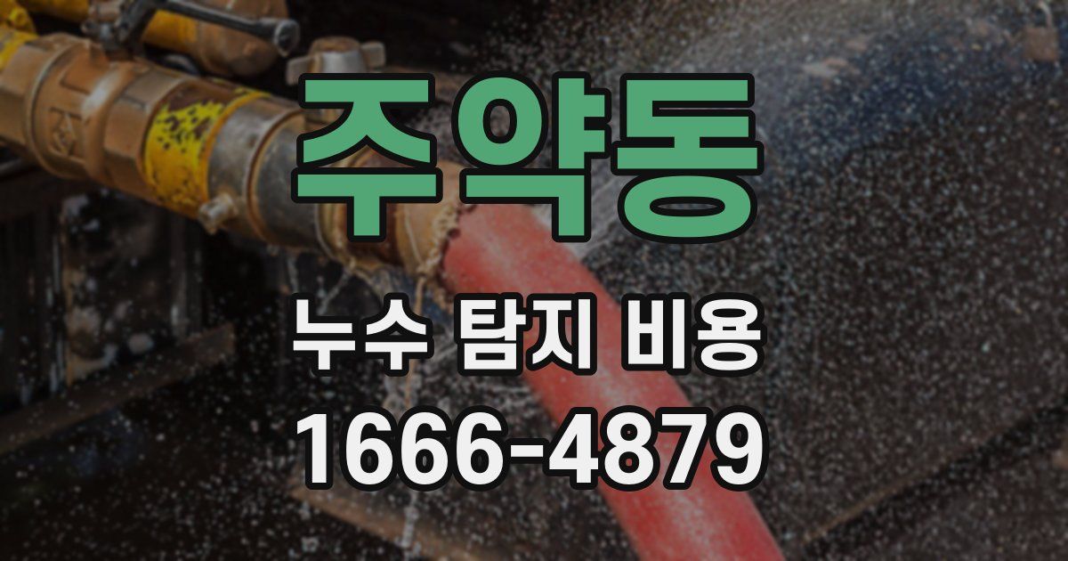 주약동 누수 탐지 비용