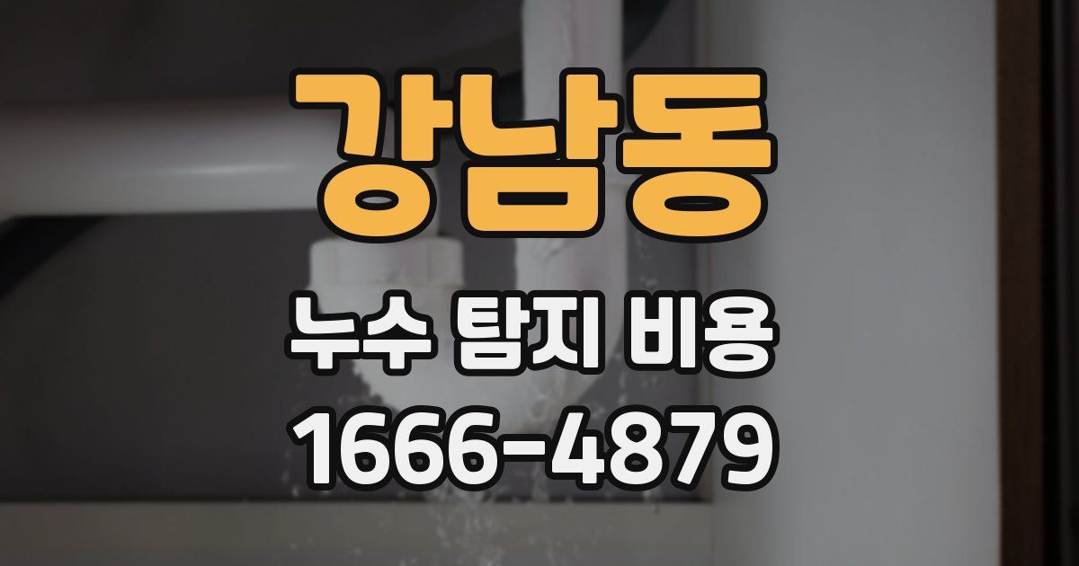 강남동 누수 탐지 비용