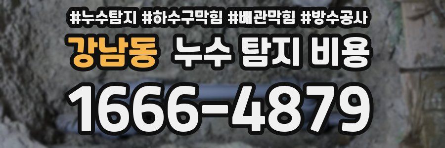 강남동 누수 탐지 비용
