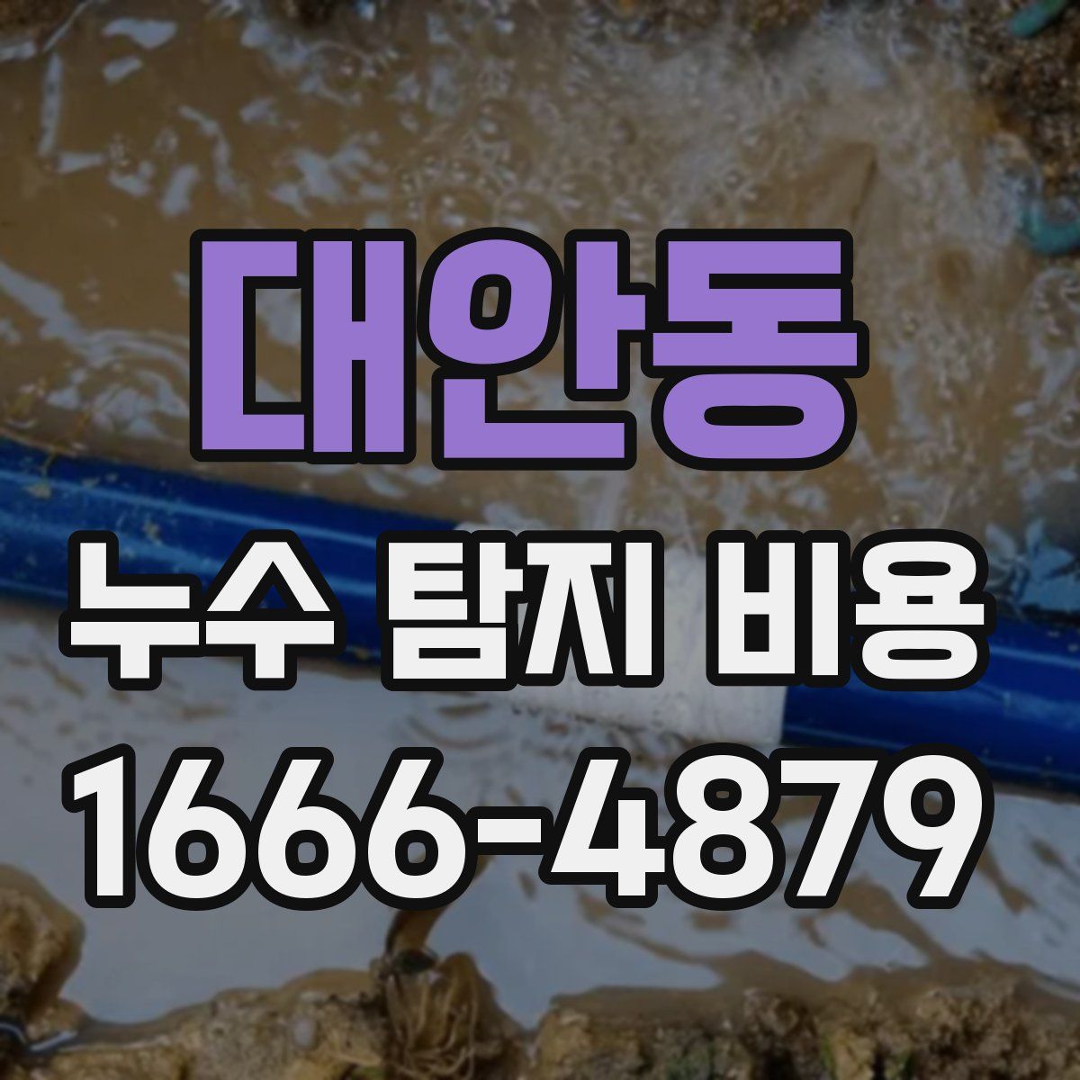 대안동 누수 탐지 비용