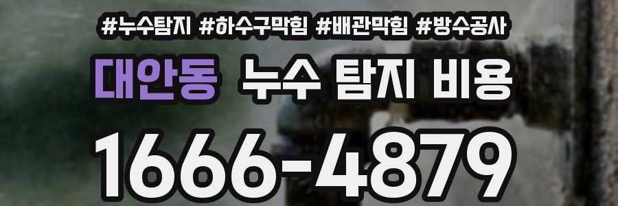 대안동 누수 탐지 비용