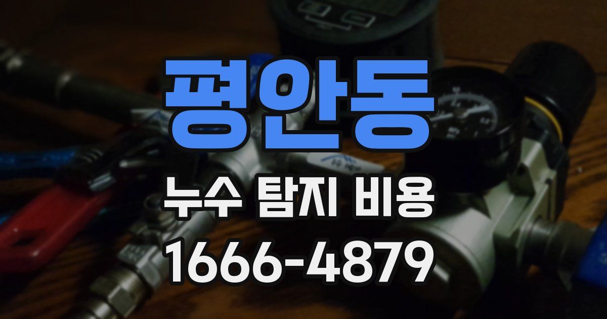 평안동 누수 탐지 비용