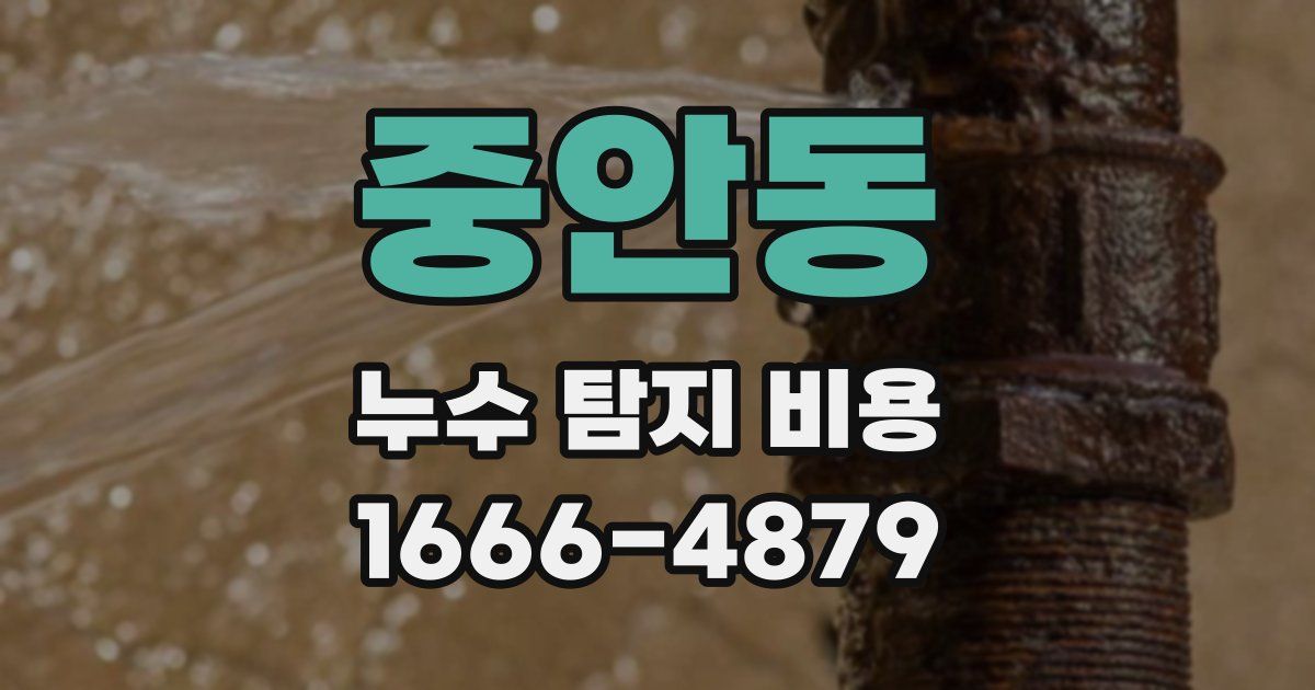 중안동 누수 탐지 비용