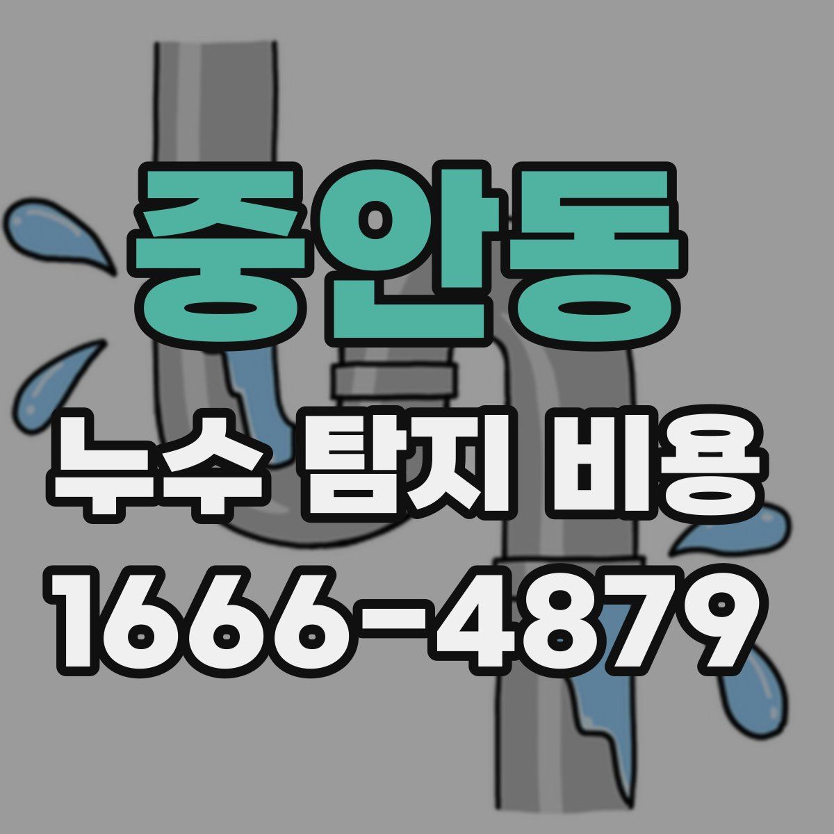 중안동 누수 탐지 비용
