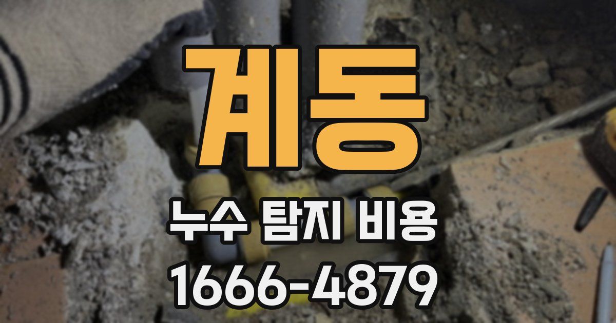 계동 누수 탐지 비용