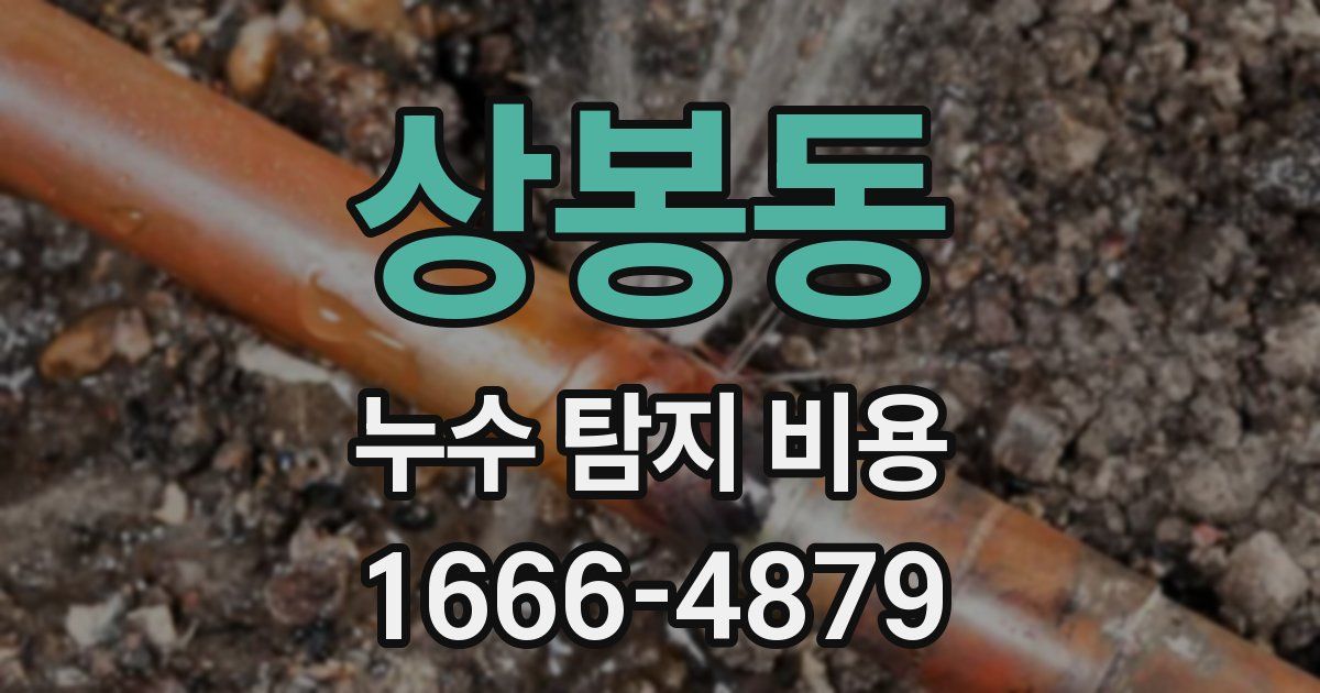 상봉동 누수 탐지 비용