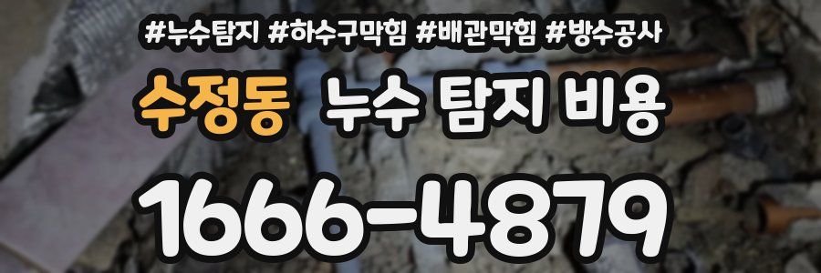 수정동 누수 탐지 비용
