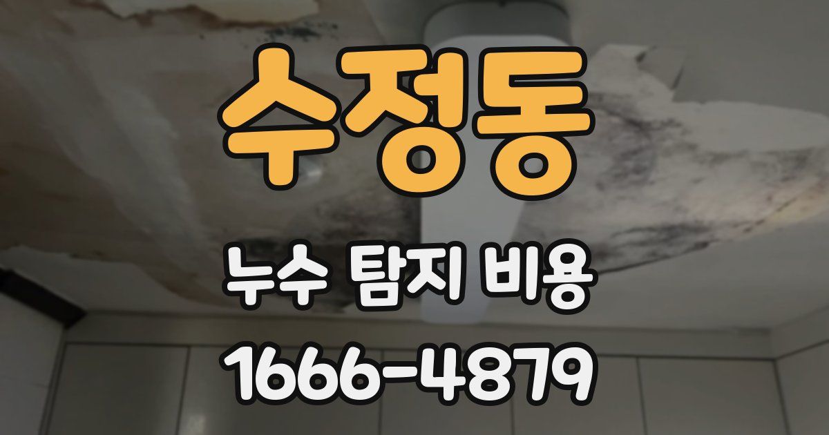 수정동 누수 탐지 비용