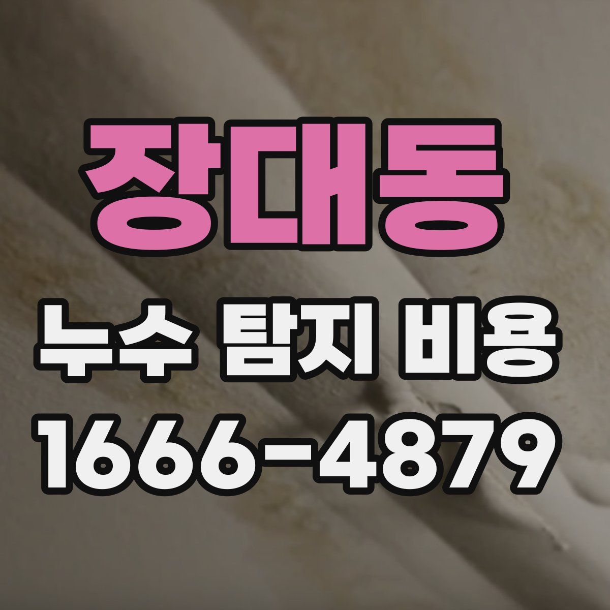 장대동 누수 탐지 비용