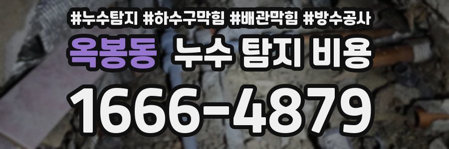 옥봉동 누수 탐지 비용