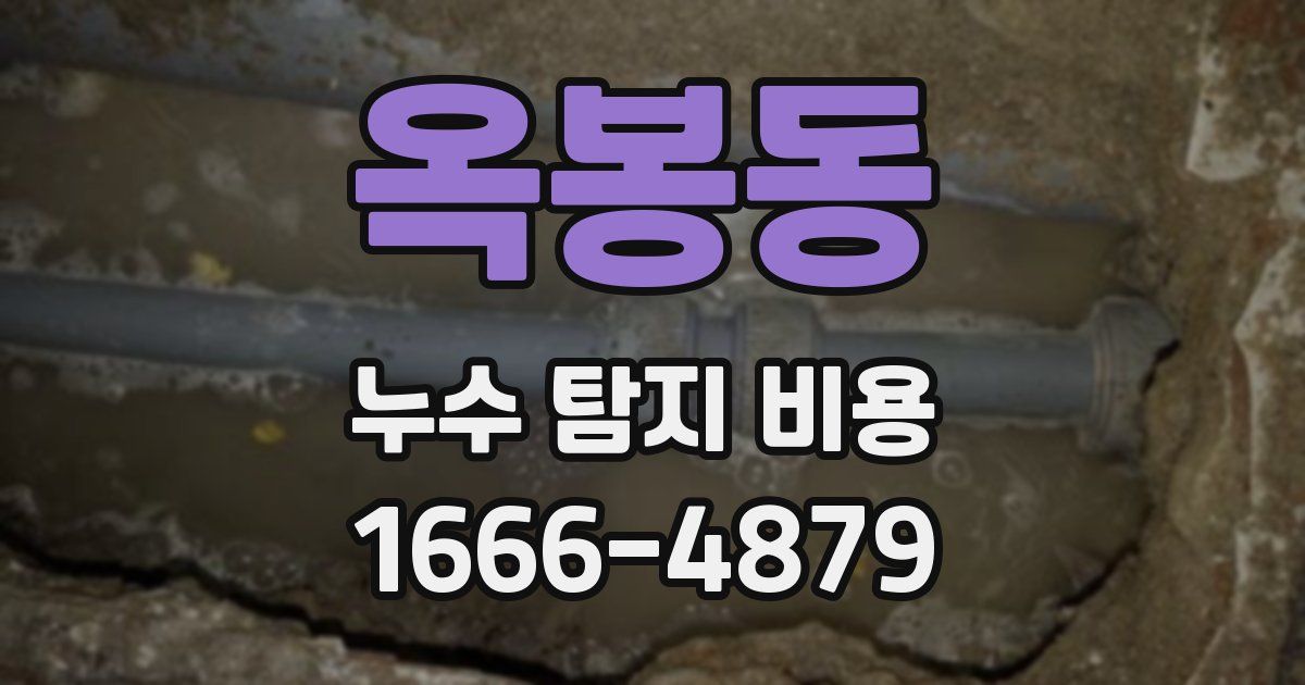 옥봉동 누수 탐지 비용