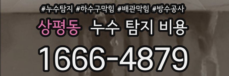 상평동 누수 탐지 비용