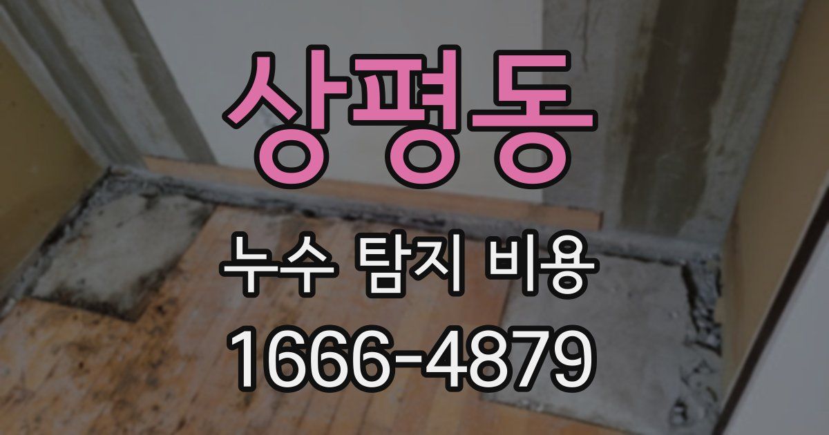 상평동 누수 탐지 비용