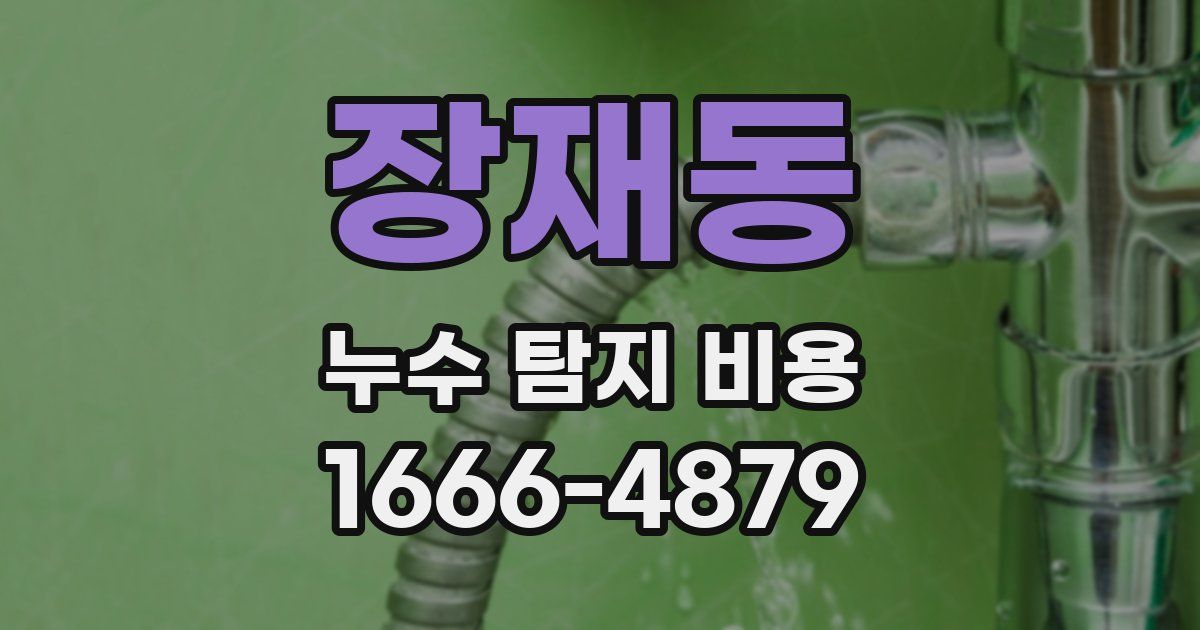 장재동 누수 탐지 비용