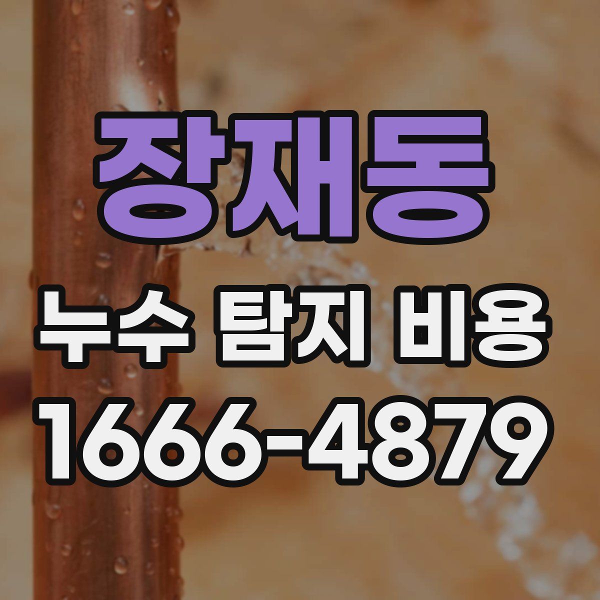 장재동 누수 탐지 비용