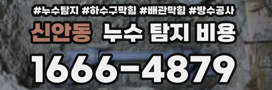 신안동 누수 탐지 비용