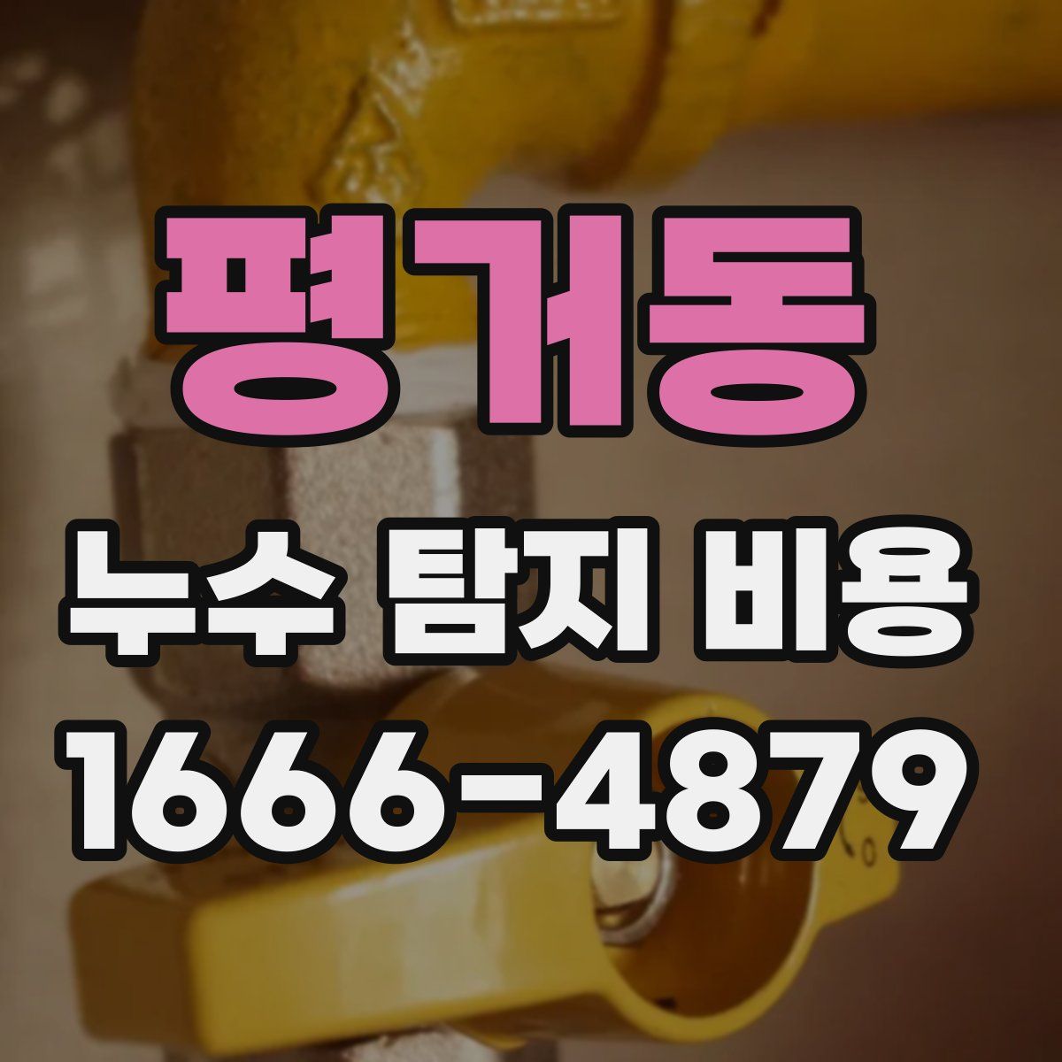평거동 누수 탐지 비용