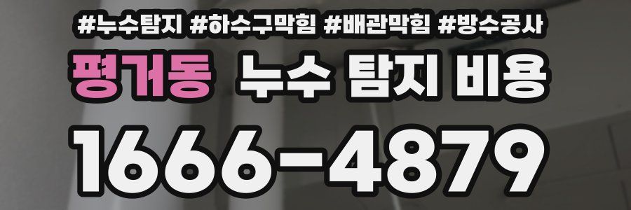 평거동 누수 탐지 비용