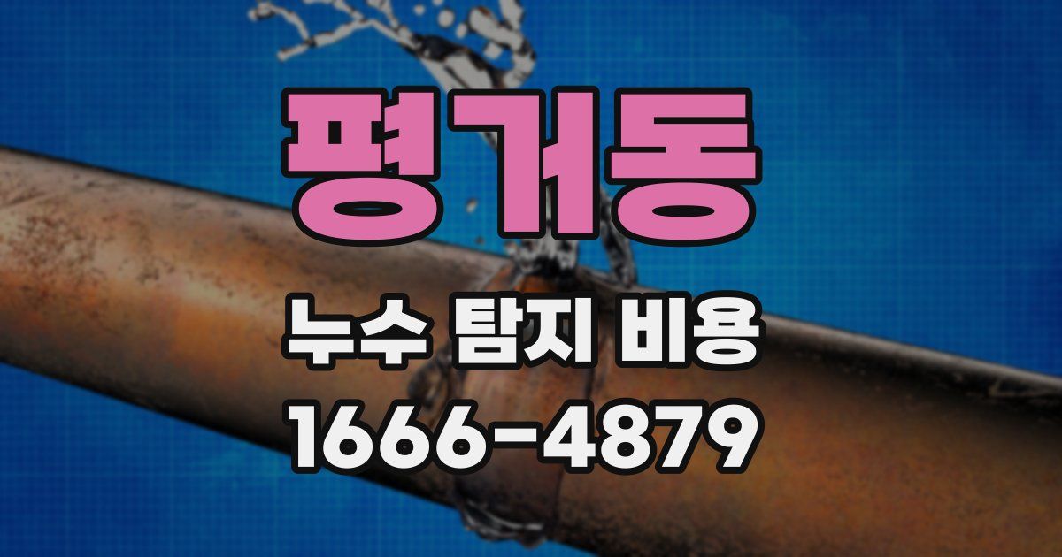 평거동 누수 탐지 비용