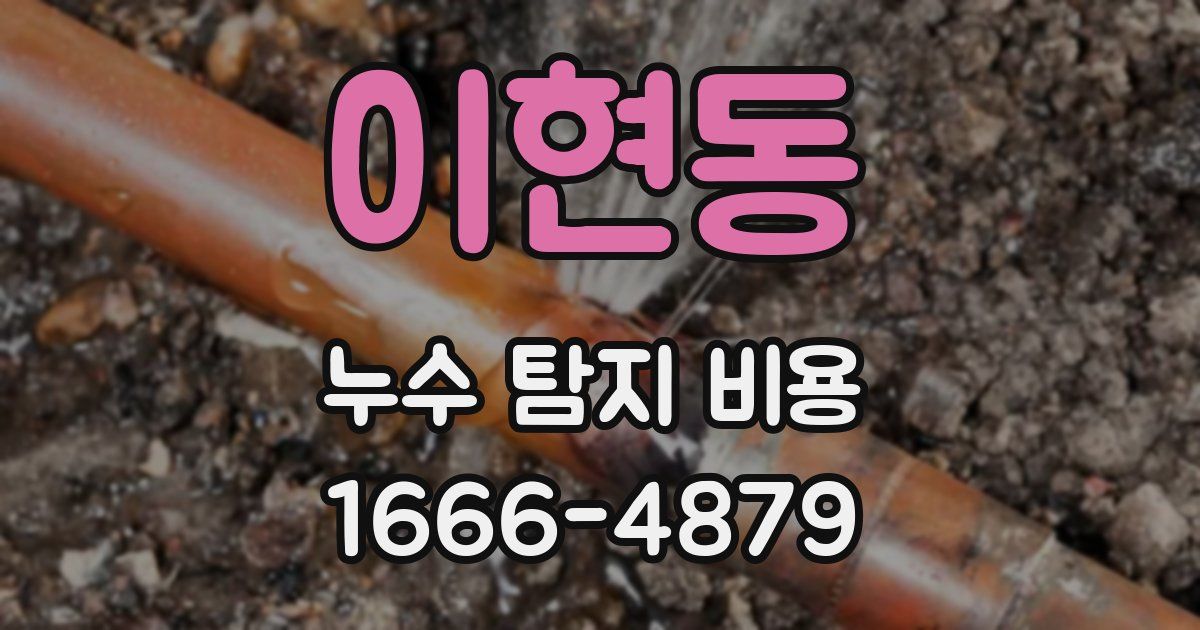 이현동 누수 탐지 비용