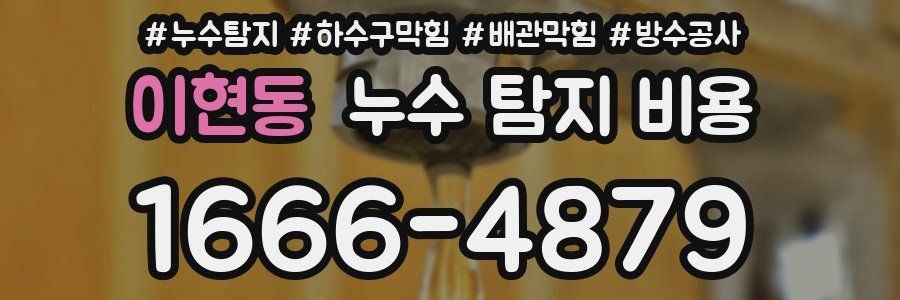 이현동 누수 탐지 비용