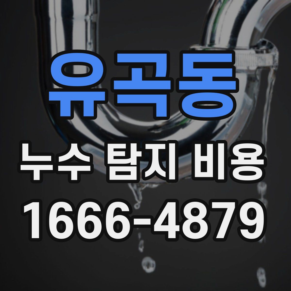 유곡동 누수 탐지 비용