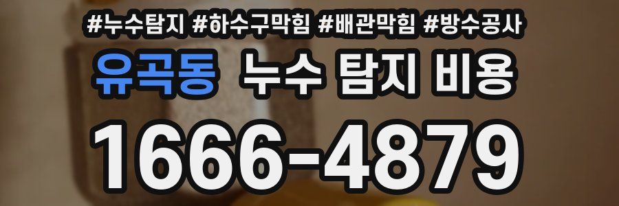 유곡동 누수 탐지 비용