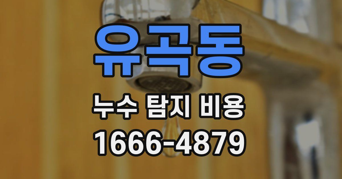 유곡동 누수 탐지 비용