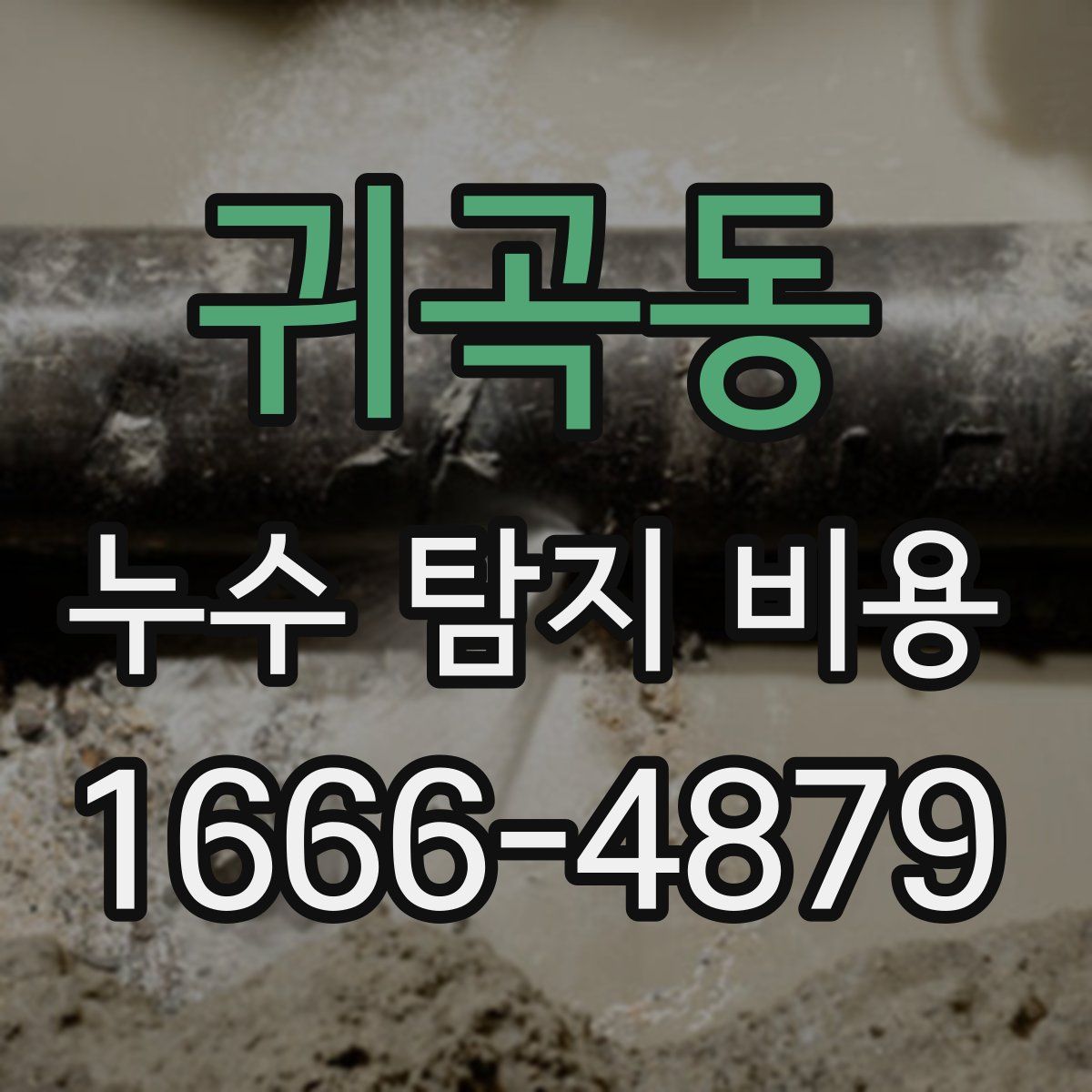귀곡동 누수 탐지 비용