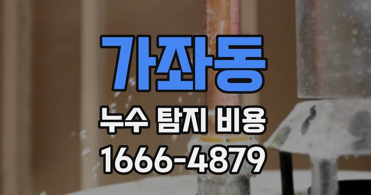 가좌동 누수 탐지 비용
